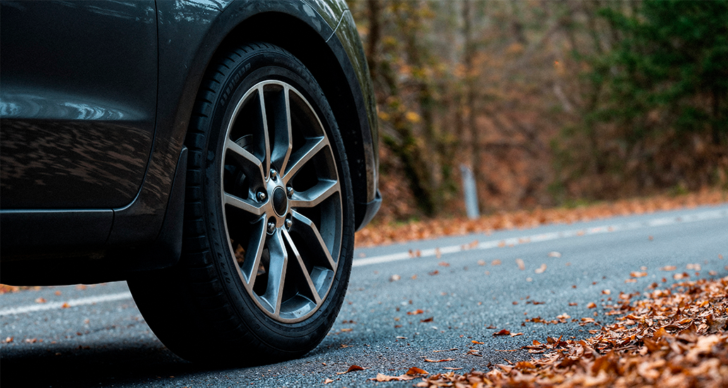 Vulcanization System